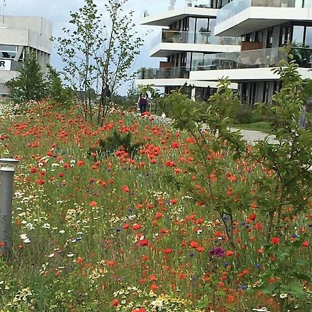 Bo Med Stil Og Udsigt Til Aarhus Lystbadehavn Exterior foto