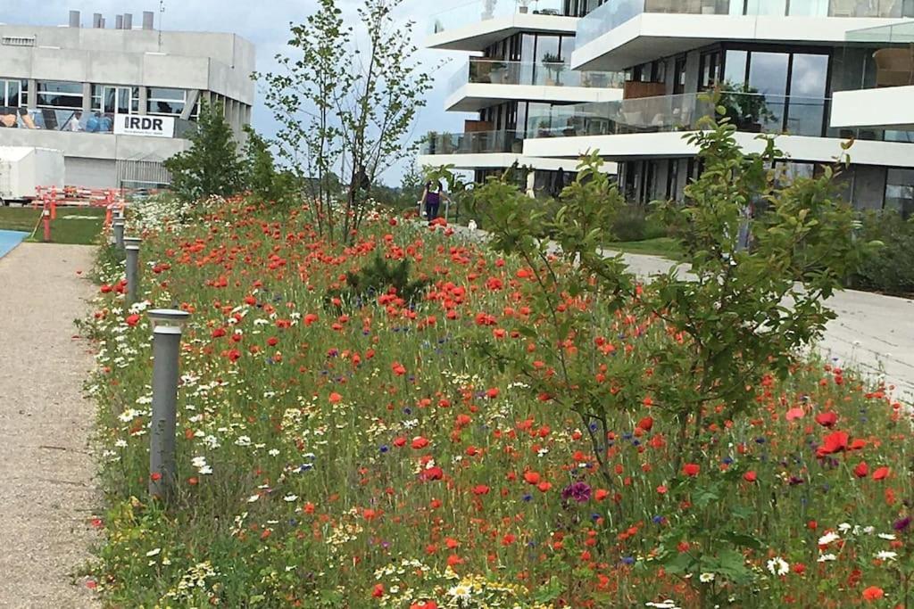 Bo Med Stil Og Udsigt Til Aarhus Lystbadehavn Exterior foto